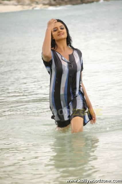 Vimala Raman Sexy Swimsuit Pictures 24