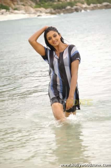 Vimala Raman Sexy Swimsuit Pictures 25