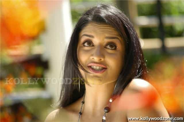 Vimala Raman Spicy Hot Pics 037