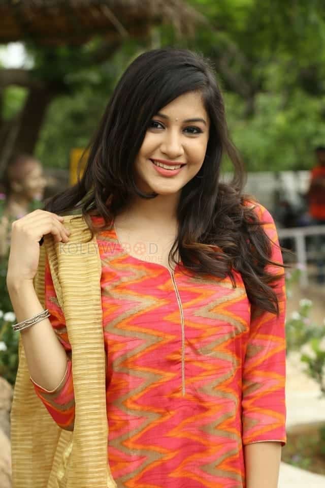 Young Telugu Actress Simran Sharma Photos 07