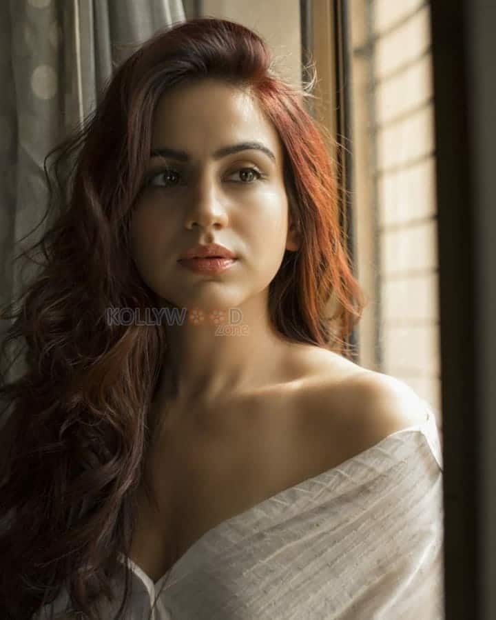 Actress Aksha Pardasany Sexy Photoshoot Pictures 03