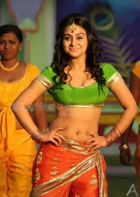 Actress Aksha Pardasany Spicy Pictures 13