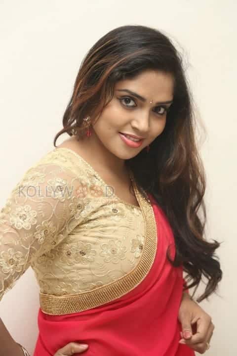 Actress Karunya In Saree Pictures 03