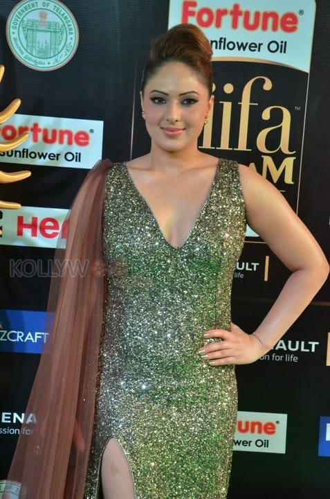 Actress Nikesha Patel At Iifa Utsavam 2017 Photos 21