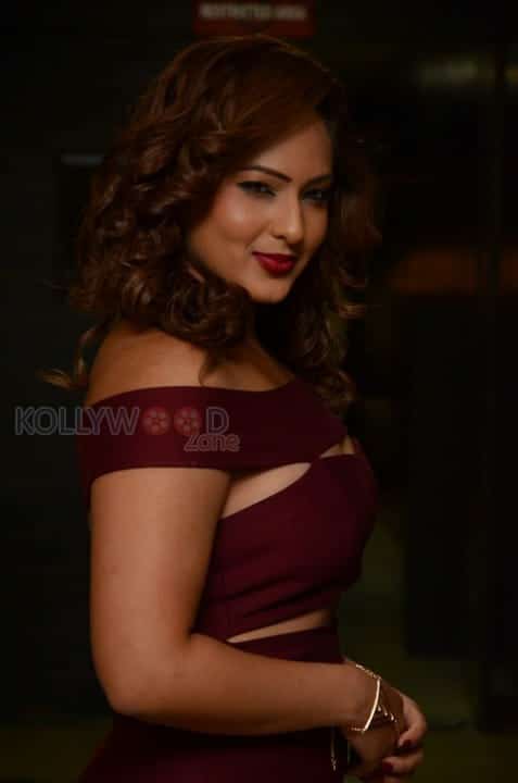 Actress Nikesha Patel New Pics 26