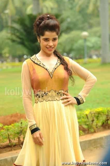 Actress Piaa Bajpai Photos 24