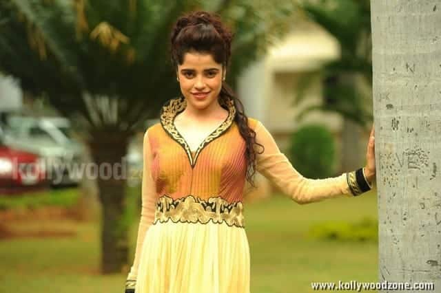 Actress Piaa Bajpai Photos 30