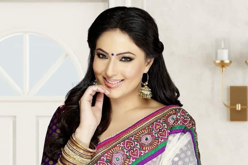 Beautiful Film Actress Nikesha Patel Traditional Saree Photo Shoot Photos 03