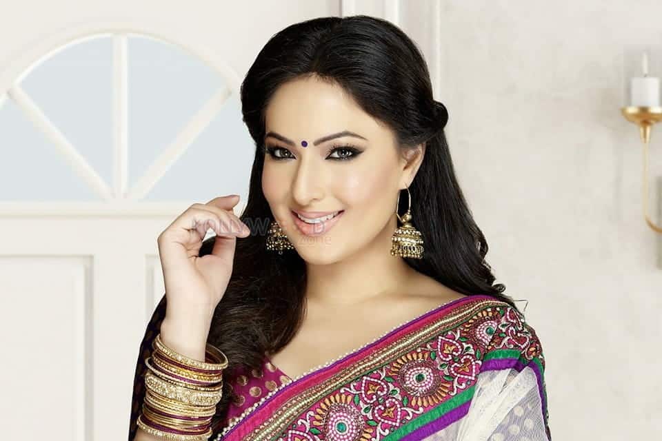 Beautiful Film Actress Nikesha Patel Traditional Saree Photo Shoot Photos 14