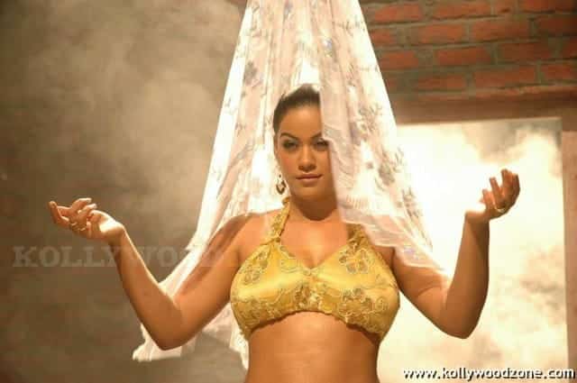 Hot Mumaith Khan Stills 13