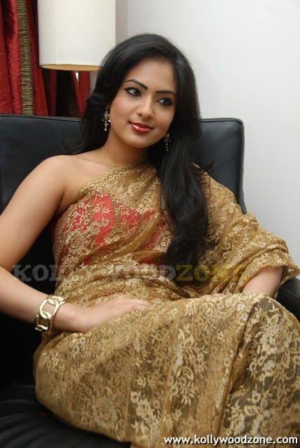 Hot Nikesha Patel Gallery 02