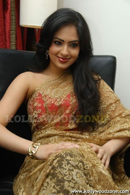 Hot Nikesha Patel Gallery 03