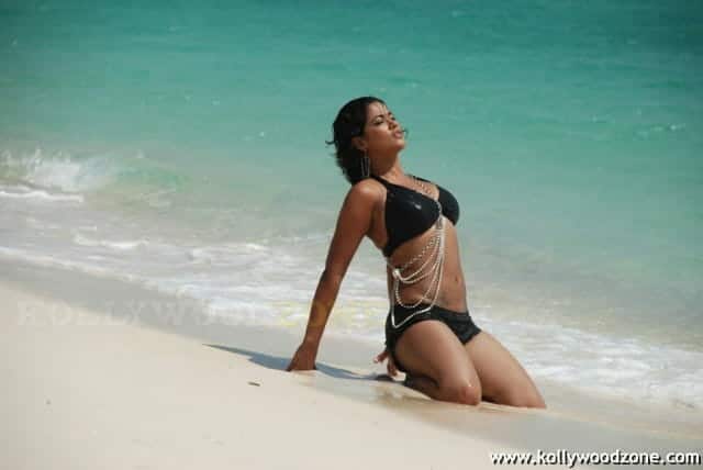 Hot Sexy Mumaith Khan Glamour Stills 36