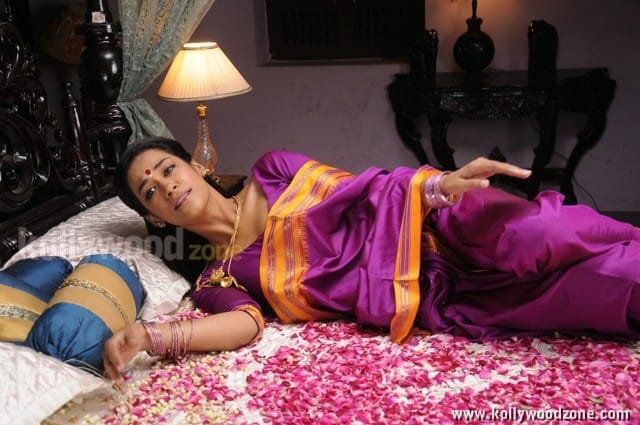 Mumaith Khan Spicy Saree Pictures 37