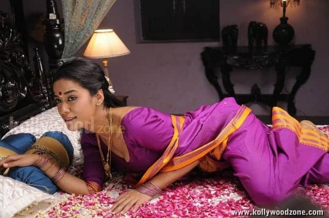 Mumaith Khan Spicy Saree Pictures 41