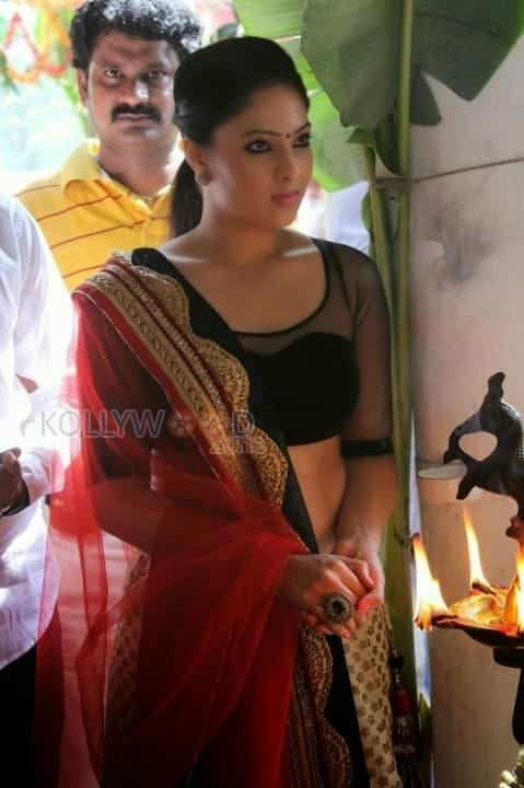 Nikesha Patel Spicy Sexy Pictures 03