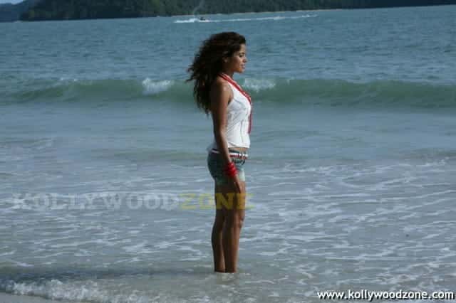 Piaa Bajpai In Goa Movie Stills 12