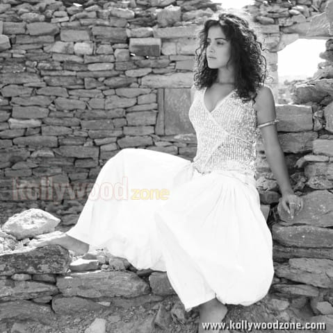 Piaa Bajpai Sexy Pictures 01