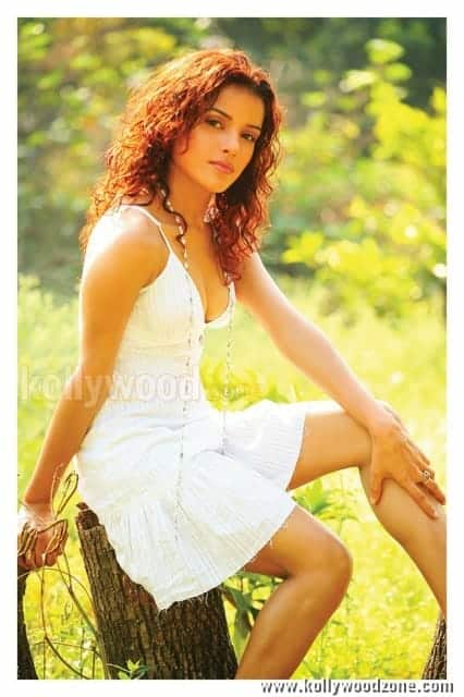 Piaa Bajpai Sexy Pictures 11