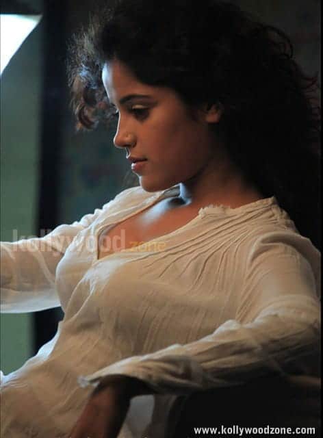 Piaa Bajpai Sexy Pictures 21