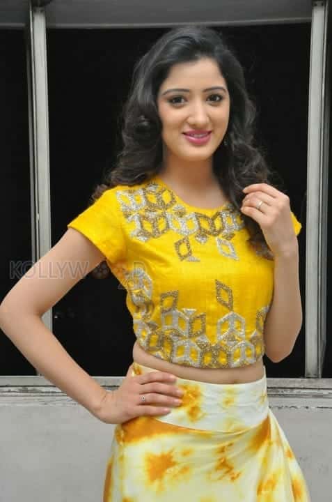 Richa Panai At Rakshaka Bhatudu Movie Trailer Launch Photos 03