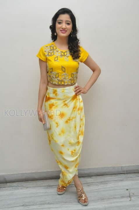 Richa Panai At Rakshaka Bhatudu Movie Trailer Launch Photos 13