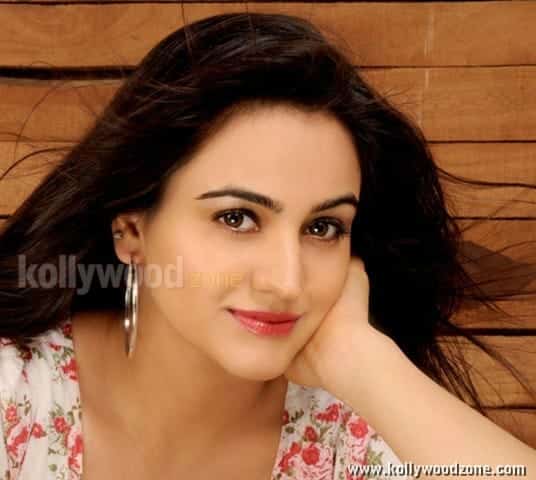 Telugu Actress Aksha Sexy Stills 10