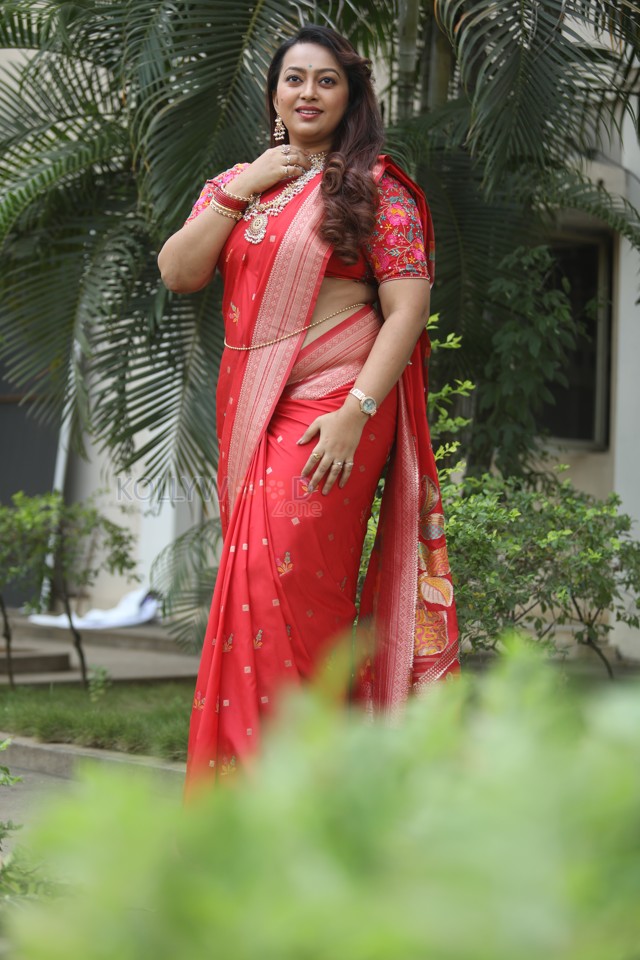 Tenant Actress Ester Noronha Glam Saree Photoshoot Pictures 20