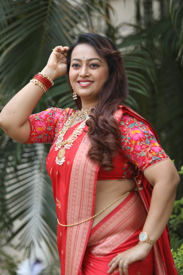 Tenant Actress Ester Noronha Glam Saree Photoshoot Pictures 22