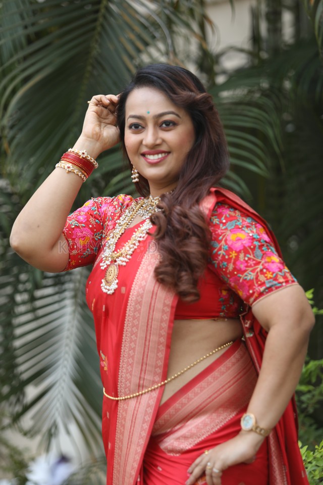 Tenant Actress Ester Noronha Glam Saree Photoshoot Pictures 23