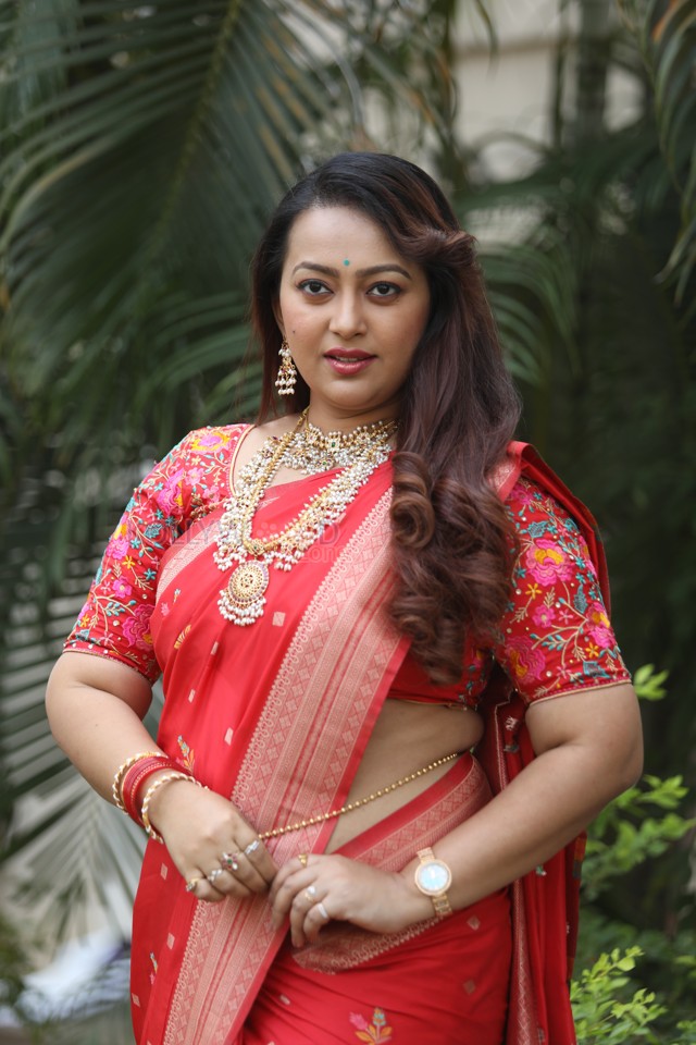 Tenant Actress Ester Noronha Glam Saree Photoshoot Pictures 24