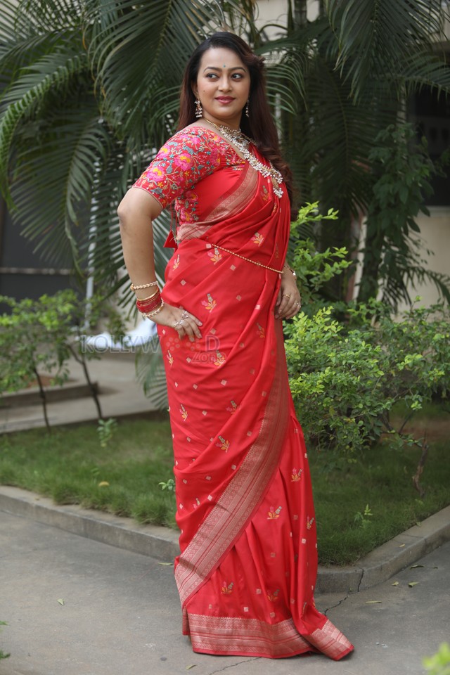 Tenant Actress Ester Noronha Glam Saree Photoshoot Pictures 27