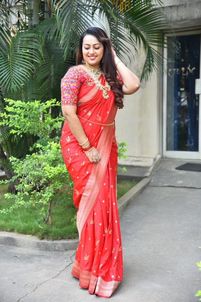 Tenant Actress Ester Noronha Glam Saree Photoshoot Pictures 42