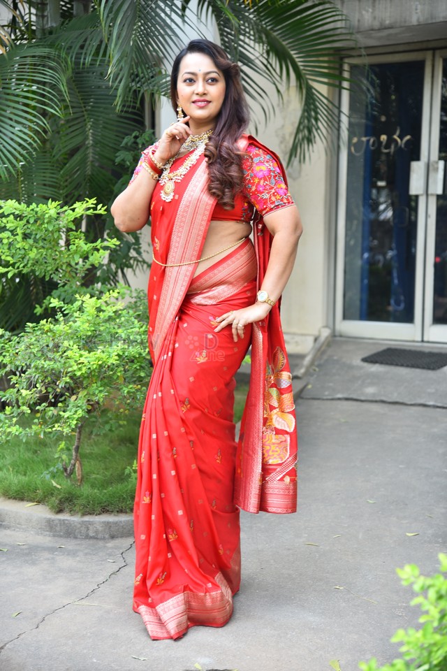 Tenant Actress Ester Noronha Glam Saree Photoshoot Pictures 44