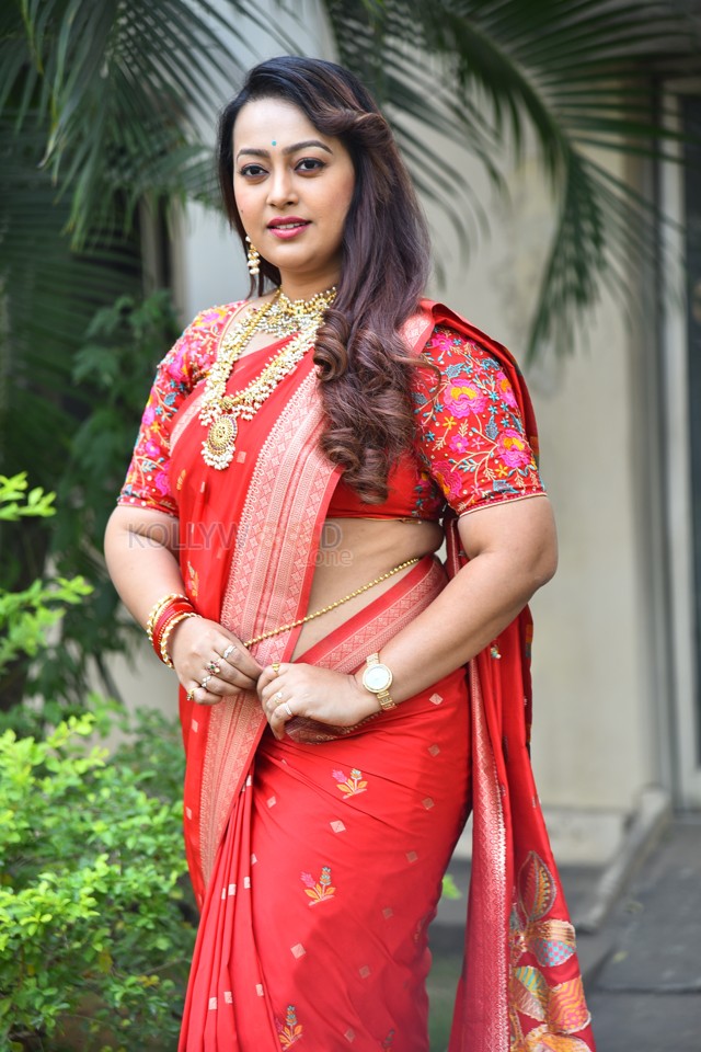 Tenant Actress Ester Noronha Glam Saree Photoshoot Pictures 45