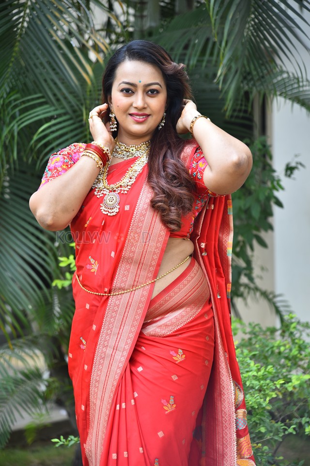 Tenant Actress Ester Noronha Glam Saree Photoshoot Pictures 48