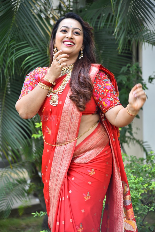 Tenant Actress Ester Noronha Glam Saree Photoshoot Pictures 49