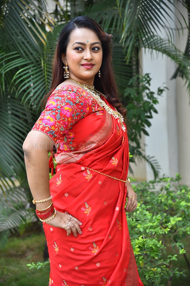 Tenant Actress Ester Noronha Glam Saree Photoshoot Pictures 53