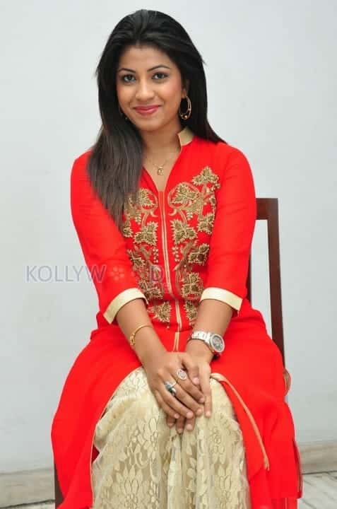 Actress Geethanjali New Pictures 02