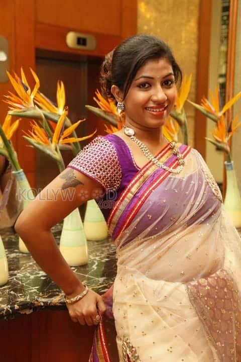 Actress Geethanjali Saree Pictures 05