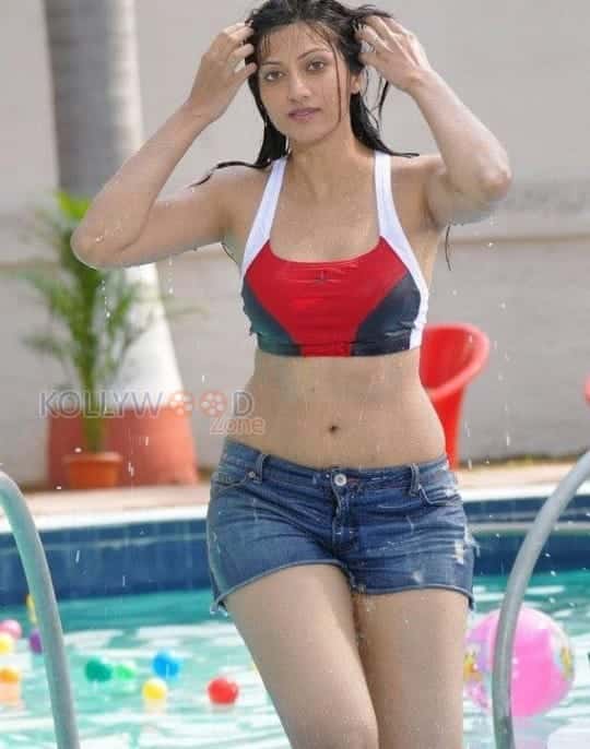 Actress Hamsa Nandhini Sexy Pictures 21