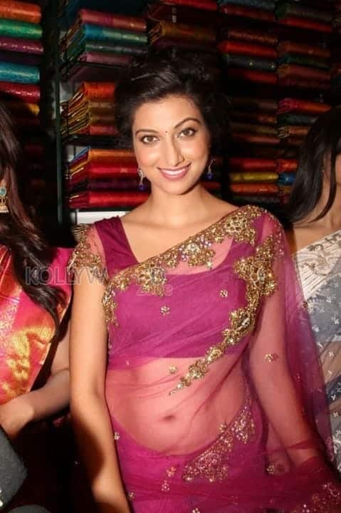 Actress Hamsa Nandhini Sexy Pictures 30