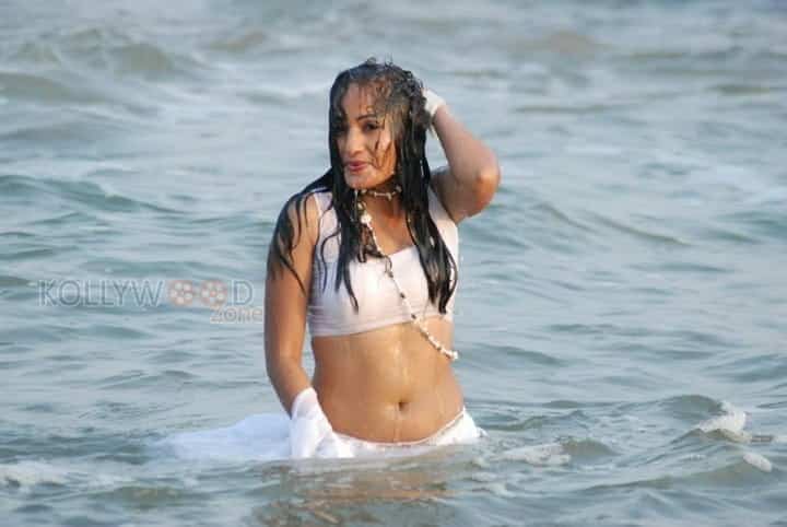 Actress Madhavi Latha Hot Sexy Wet Saree Photos 08