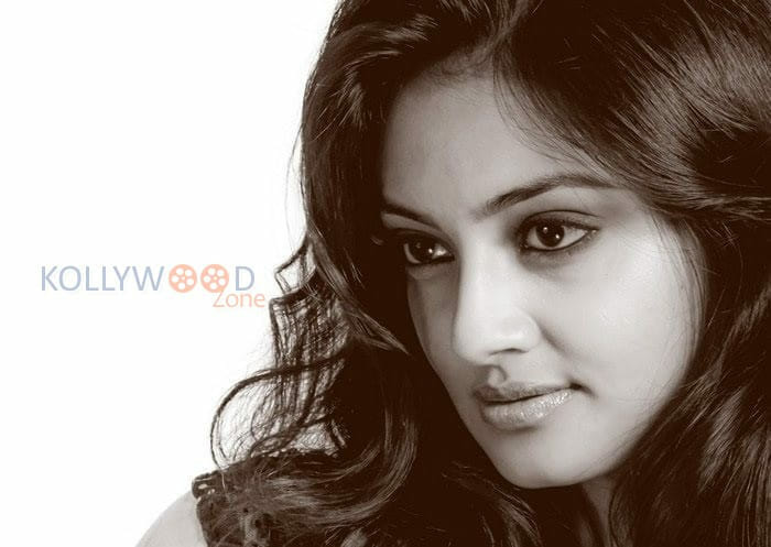 Actress Nikitha Narayan Sexy Photos 13