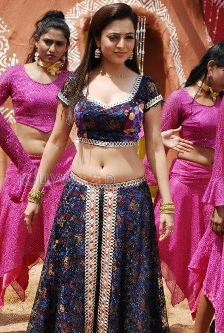 Actress Nisha Agarwal Sexy Navel Pictures 02