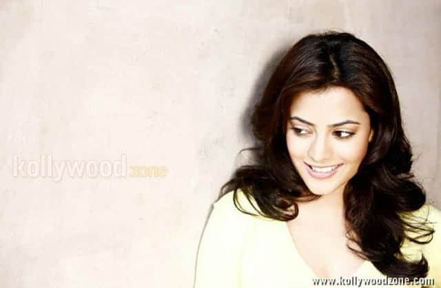 Actress Nisha Agarwal Sexy Pictures 03