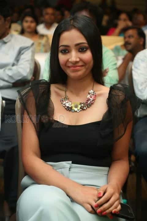 Actress Swetha Basu Prasad Hot Stills At Mixture Potlam Movie Audio Launch Photos 02