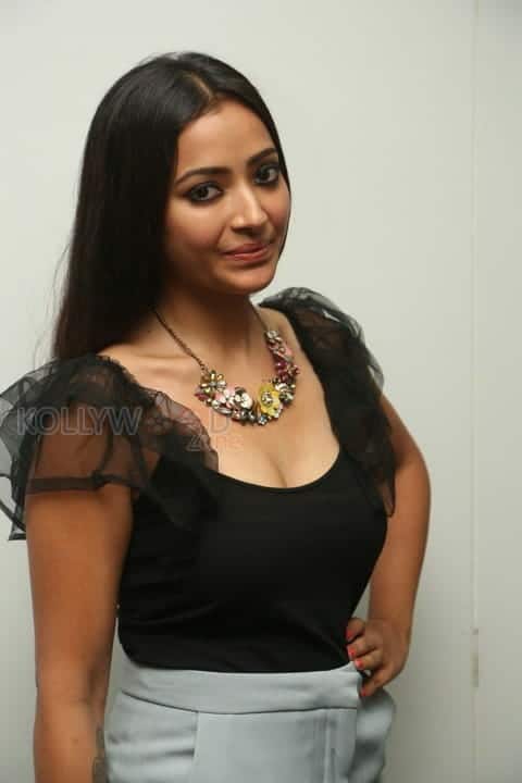 Actress Swetha Basu Prasad Hot Stills At Mixture Potlam Movie Audio Launch Photos 17