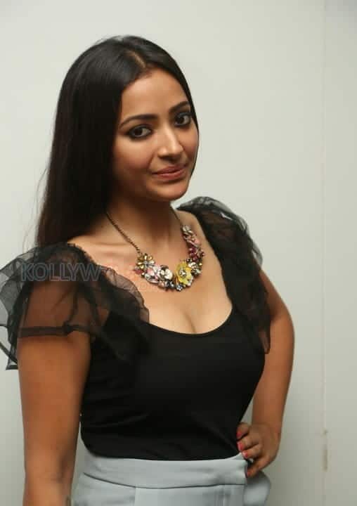 Actress Swetha Basu Prasad Hot Stills At Mixture Potlam Movie Audio Launch Photos 23