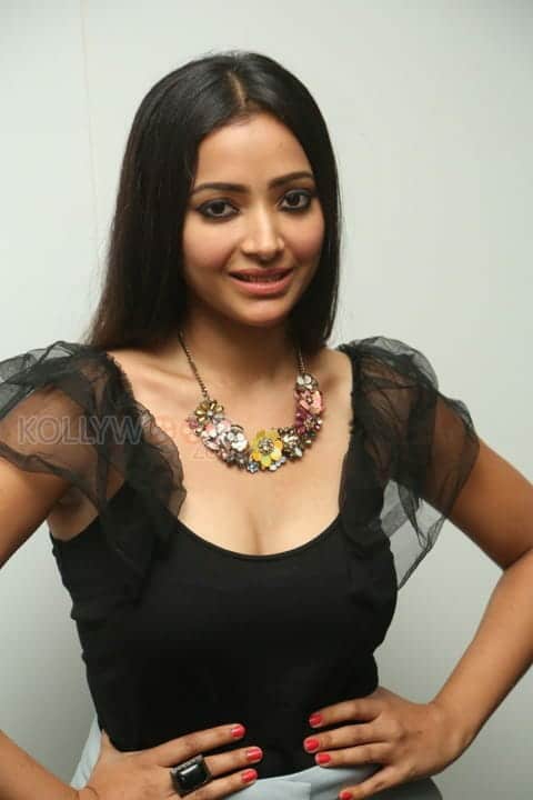 Actress Swetha Basu Prasad Hot Stills At Mixture Potlam Movie Audio Launch Photos 28